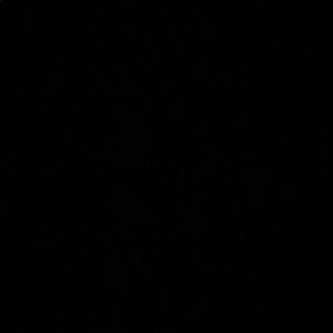 Meet your Posher, Chase